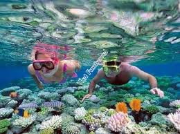 Islands And Snorkeling Tour